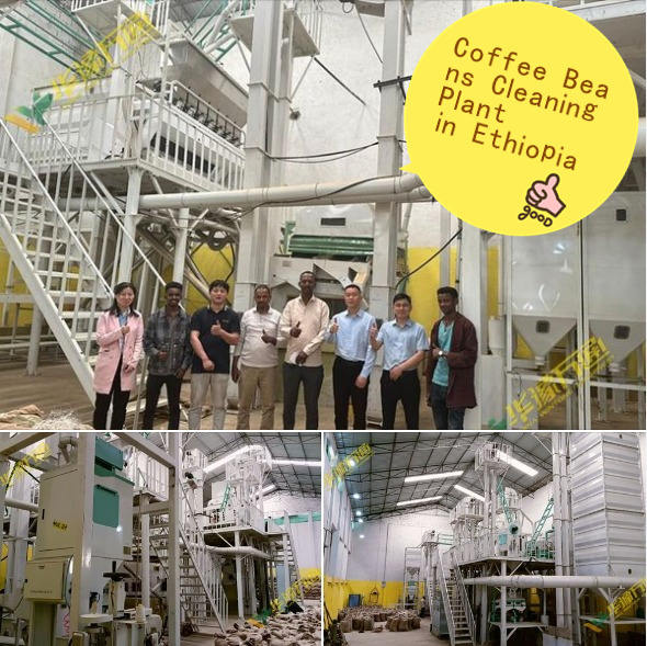 Coffee Beans Cleaning Project