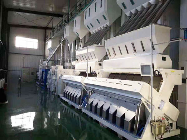 Effective Grain Sorting Machine