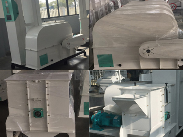 DTY-10M Low Speed Bucket Elevator